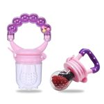 Baby Fruit Feeder - Teething Pacifier - Rattle